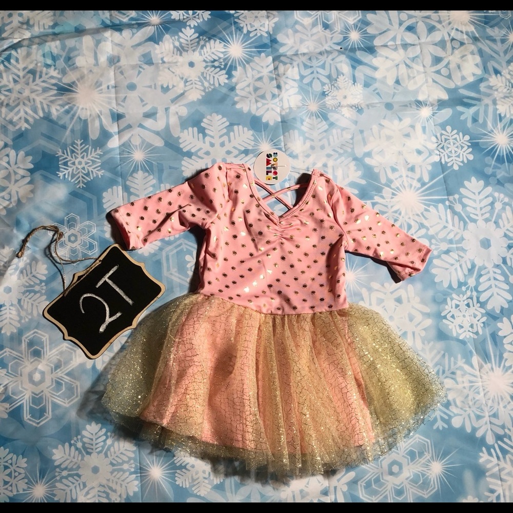 Dot Dot Smile Fancy pink dress 2T NWT